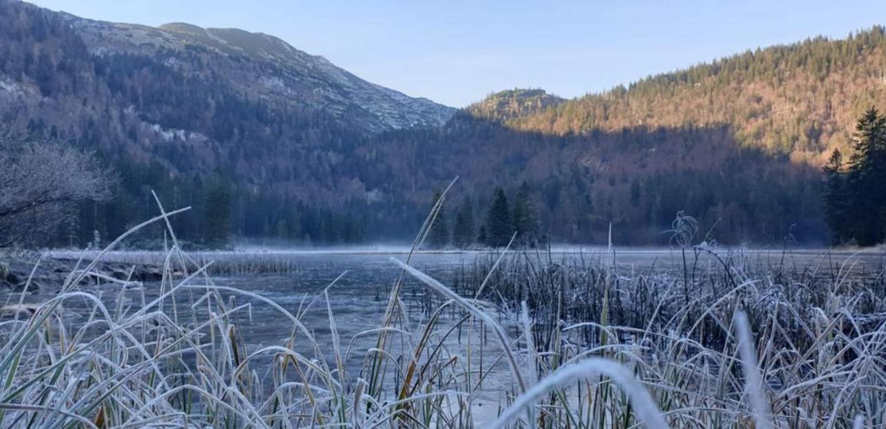 Ledererhof Lunz Am See Eksteriør billede